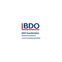 Logo: BDO ScanRevision